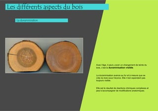 Les différents aspects du bois
   La duraminisaton




                                 Avec l’âge, il peut y avoir un changement de teinte du
                                 bois, c’est la duraminisation visible.


                                 La duraminisation avance au fur et à mesure que se
                                 crée du bois sous l’écorce. Elle n’est cependant pas
                                 toujours visible.


                                 Elle est le résultat de réactions chimiques complexes et
                                 peut s’accompagner de modifications anatomiques.
 