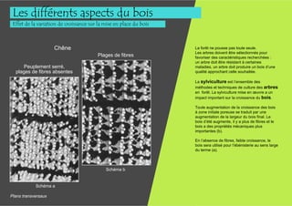 Les différents aspects du bois
 Effet de la variation de croissance sur la mise en place du bois



                     Chêne                                          La forêt ne pousse pas toute seule.
                                                                    Les arbres doivent être sélectionnés pour
                                         Plages de fibres           favoriser des caractéristiques recherchées :
                                                                    un arbre doit être résistant à certaines
      Peuplement serré,                                             maladies, un arbre doit produire un bois d’une
  plages de fibres absentes                                         qualité approchant celle souhaitée.

                                                                    La sylviculture est l’ensemble des
                                                                    méthodes et techniques de culture des arbres
                                                                    en forêt. La sylviculture mise en œuvre a un
                                                                    impact important sur la croissance du bois.

                                                                    Toute augmentation de la croissance des bois
                                                                    à zone initiale poreuse se traduit par une
                                                                    augmentation de la largeur du bois final. Le
                                                                    bois d’été augmente, il y a plus de fibres et le
                                                                    bois a des propriétés mécaniques plus
                                                                    importantes (b).

                                                                    En l’absence de fibres, faible croissance, le
                                                                    bois sera utilisé pour l’ébénisterie au sens large
                                                                    du terme (a).



                                            Schéma b


            Schéma a

Plans transversaux
 