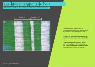 Les différents aspects du bois
 Effet de la variation de croissance sur la mise en place du bois




                           Année n      Année n + 1




                                                                    Chez les résineux, une réduction de
                                                                    croissance se fait toujours au dépend du bois
                                                                    de printemps ou bois initial (année n+1).


                                                                    La largeur du bois final varie mais dans des
                                                                    proportions moindres que celle du bois initial.


                                                                    Cette modification de croissance, qui ne
                                                                    touche pas de façon uniforme les tissus du
                                                                    bois, a des conséquences sur les propriétés
                                                                    mécaniques et physiques du matériau.




Coupe : plan transversal
 