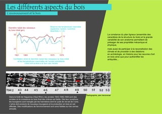 Les différents aspects du bois
L’environnement et le bois



                                                      Moyenne des températures maximales
 Diamètre radial des vaisseaux
                                                      (septembre, octobre, novembre,
 du bois initial (µm)                                 décembre) n-1 (C)

      20                                                                                                             La constance du plan ligneux (ensemble des
                                                                       12                                            caractères de la structure du bois) et la grande
                                                                                                                     variabilité de son anatomie permettent de
                                                                                                                     présager de ses propriétés mécanique et
                                                                                                                     physique,
      25                                                               10                                            mais aussi de participer à la reconstitution des
                                                                                                                     climats et de procéder à des datations
       1961      1965               1970              1975          1979                                             en archéologie, en histoire pour les oeuvres d’art
                                                                                                                     en bois ainsi que pour authentifier les
      Corrélation entre le diamètre radial des vaisseaux du bois initial                                             antiquités...
          et les températures maximales de l’année précédente
                   Chêne forêt de Bride et de Saint Jean, Moselle




                                                                                           Radiographie, plan transversal
 Dans la forêt de Haguenau (Haut Rhin), les années 1943,1946,1949 sont des
 années où la croissance du bois final des chênes est faible. Dès leur ouverture,
 les bourgeons sont mangés par les hannetons dont le cycle de vie est de 3 ans.
 L'arbre doit produire de nouveaux bourgeons et la production en bois en est
 affectée. Des modifications de l'environnement sont ainsi lisibles sur les cernes
 annuels..
 