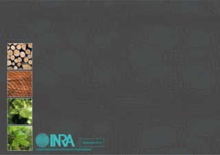 Les différents aspects du bois




                                             Décembre 2011

       Institut National de la Recherche Agronomique
 