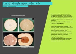 Les différents aspects du bois
Aspect macroscopique
Aspect macroscopique




                                                              Sur chaque rondelle, il y a une succession
          Accroissements annuels                              d’anneaux concentriques : ce sont les cernes
                                                              (un cerne) qui représentent les accroissements
                                                              annuels, c’est à dire la quantité, l’épaisseur de
                                                              bois que fabrique l’arbre au cours d’une année de
                                                              végétation.
                                                              C’est à l ’intérieur de chacun de ces cernes que
                                                              s’exprime le plan ligneux.


                                                              Lorsque les conditions sont favorables, il y a
                                                              reprise de l’activité cambiale. Les cellules entrent
                                                              en multiplication. Sur sa face interne, les cellules
                                                              se différencient en cellules du bois.
                                                              Les conditions environnementales devenant
                                                              défavorables, le cambium diminue son activité
                                                              pour la cesser totalement en fin d’été.
                                                              Pour qu’il y ait présence de cernes annuels,
                                                              il faut qu’il y ait des saisons.
                                                              Ce qui implique que des cernes annuels vrais
                                                              n’existent pas chez les espèces des zones
                                                              tropicales ou sub-tropicales.




                          Université de Laval : A. CLOUTIER
 