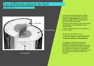 Les différents aspects du bois
Le plan ligneux



                                                                     La répartition des différents types de cellules
                                                                     dans l’espace, leurs proportions, leurs tailles,
                                                                     constituent le plan ligneux et font du bois un
                                                                     matériau hétérogène, dont l’aspect diffère en
                                                                     fonction des plans d’observation.
                                    Plan radial                      Cependant, le plan ligneux est sous contrôle strict
                                                                     de la génétique. Il est caractéristique d’une
                                                                     essence donnée :
                                                                     un hêtre ne fera jamais un bois qui ressemble à
                                                  Plan transversal   un bois de chêne.


                                                                     On distingue 2 grands types de bois :
                                                                     - le bois des résineux ou gymnospermes,
                                                                     - le bois des feuillus ou angiospermes.


                                                                     La constance du plan ligneux et la grande
                                                                     variabilité de son anatomie permettent de
                                                                     présager des propriétés mécaniques et physiques
                                                                     du matériau bois. Elle permet aussi de participer
                                                                     à la reconstitution des climats et de procéder à
                                                                     des datations en archéologie, en histoire, pour les
                                                                     œuvres d’art ainsi que pour authentifier des
                  Plan tangentiel                                    antiquités...
 