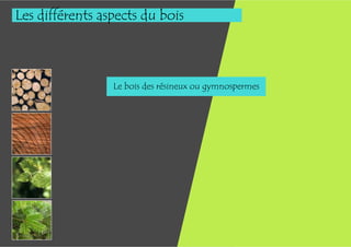 Les différents aspects du bois



                 Le bois des résineux ou gymnospermes
 