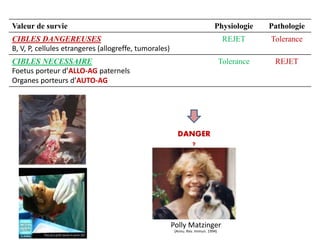Valeur de survie Physiologie Pathologie
CIBLES DANGEREUSES
B, V, P, cellules etrangeres (allogreffe, tumorales)
REJET Tolerance
CIBLES NECESSAIRE
Foetus porteur d’ALLO-AG paternels
Organes porteurs d’AUTO-AG
Tolerance REJET
DANGER
?
Polly Matzinger
(Annu. Rev. Immun. 1994)
 