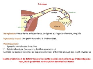 Troisphases
Pre-implantation: Phase de vie independante, antigenes etrangers de la mere, coquille
Implantation et invasion: une greffe naturelle, le trophoblaste,
Maturite placentaire:
1. Syncytiotrophoblaste (interface)
2. Cytotrophoblaste (messagers: decidua, poumons,..)
La mere est dument informee de la presence de ces antigenes (allo-Ag) qui reagit envers eux
Tout le probleme est de defenir la nature de cette reaction immunitaire qui n’aboutit pas au
rejet, mais qui semble au total pultot benefique au foetus
 