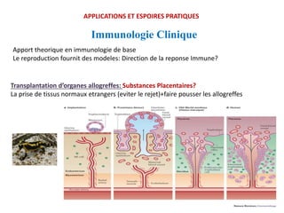 Immunologie Clinique
Apport theorique en immunologie de base
Le reproduction fournit des modeles: Direction de la reponse Immune?
APPLICATIONS ET ESPOIRES PRATIQUES
Transplantation d’organes allogreffes: Substances Placentaires?
La prise de tissus normaux etrangers (eviter le rejet)+faire pousser les allogreffes
 