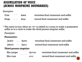 Aspects of Connected Speech ENGLISH .pptx