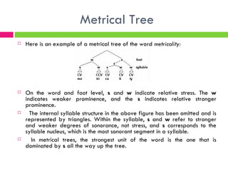 Metrical Tree Here is an example of a metrical tree of the word  metricality: On the word and foot level,  s  and  w  indicate relative stress. The  w  indicates weaker prominence, and the  s  indicates relative stronger prominence.    The internal syllable structure in the above figure has been omitted and is represented by triangles. Within the syllable,  s  and  w  refer to stronger and weaker degrees of sonorance, not stress, and  s  corresponds to the syllable nucleus, which is the most sonorant segment in a syllable.    In metrical trees, the strongest unit of the word is the one that is dominated by  s  all the way up the tree. 