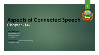 Comprehensive Overview of Connected Speech Aspects in English Phonology ...