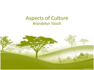 Aspects of Culture
Brandelyn Tosolt

 