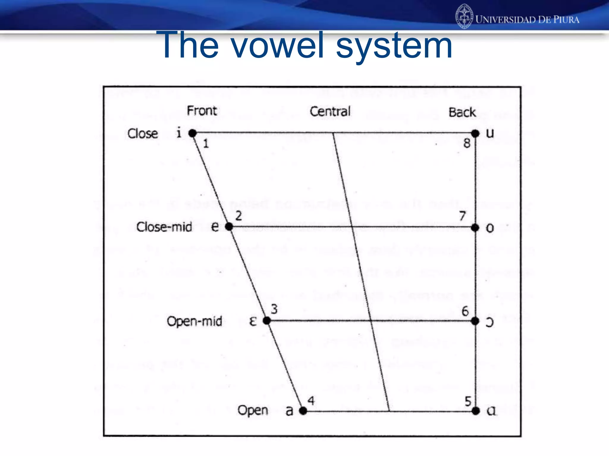 The vowel system
 