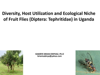 Diversity, Host Utilization and Ecological Niche
of Fruit Flies (Diptera: Tephritidae) in Uganda
ISABIRYE BRIAN ERIPHAZ, Ph.D
brianisabirye@yahoo.com
 