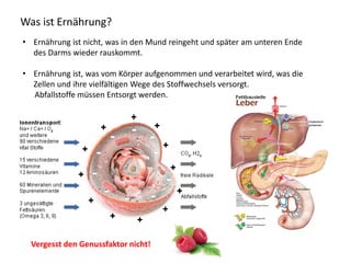 Was ist Ernährung?
• Ernährung ist nicht, was in den Mund reingeht und später am unteren Ende
des Darms wieder rauskommt.
• Ernährung ist, was vom Körper aufgenommen und verarbeitet wird, was die
Zellen und ihre vielfältigen Wege des Stoffwechsels versorgt.
Abfallstoffe müssen Entsorgt werden.
Vergesst den Genussfaktor nicht!
 