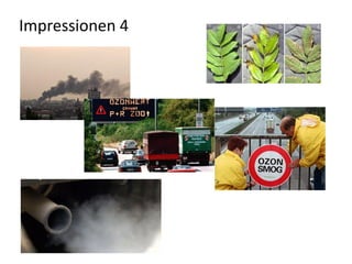 Impressionen 4
 