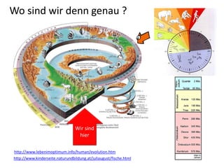 http://www.kinderseite.naturundbildung.at/juliaugust/fische.html
http://www.lebenimoptimum.info/human/evolution.htm
Wir sind
hier
Wo sind wir denn genau ?
 