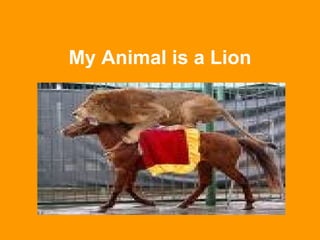 My Animal is a Lion 