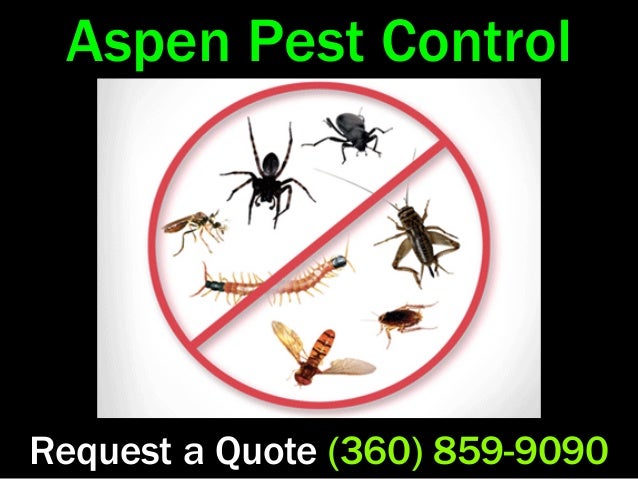 Aspen Pest Control Camas Wa