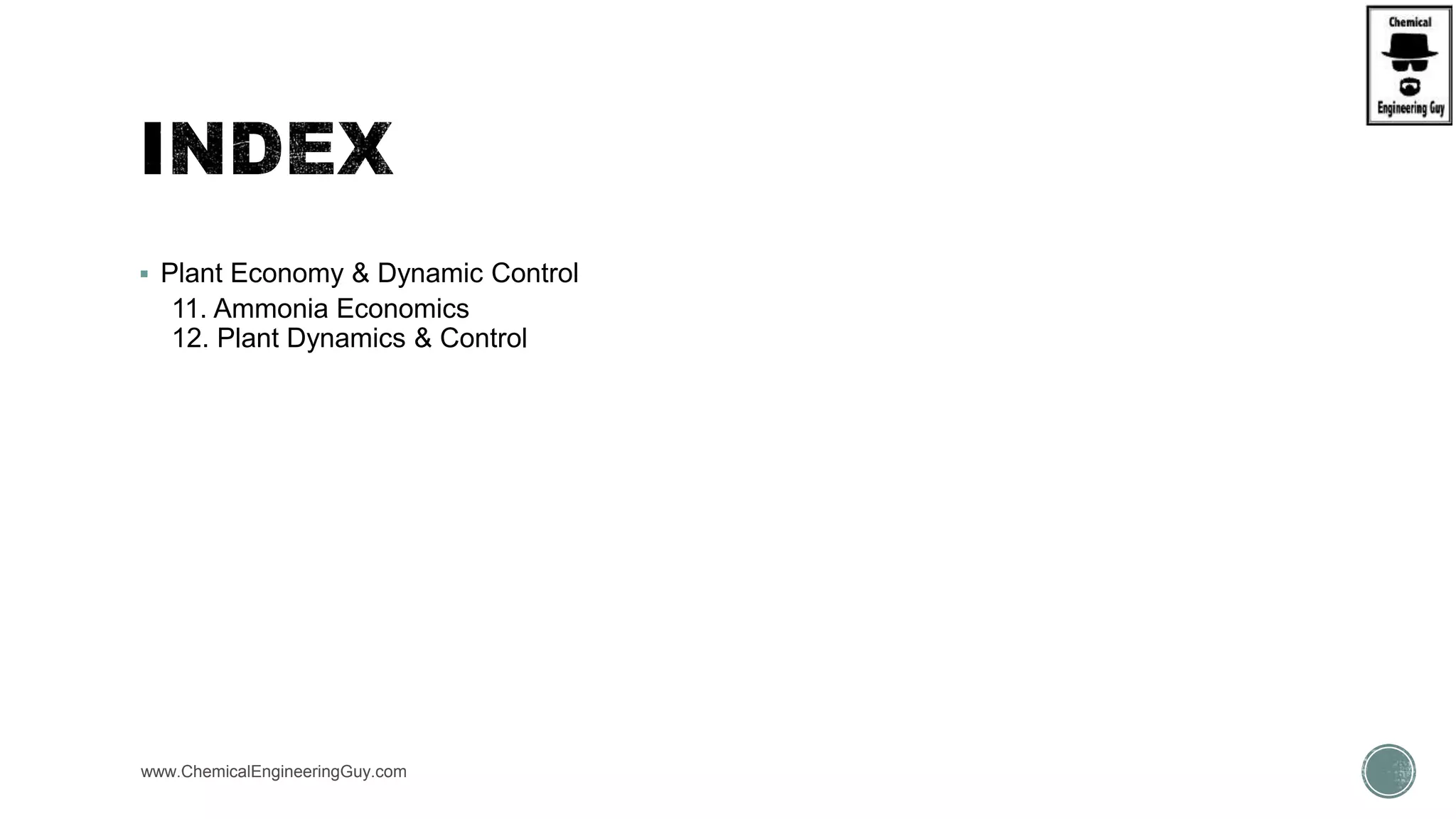  Plant Economy & Dynamic Control
11. Ammonia Economics
12. Plant Dynamics & Control
www.ChemicalEngineeringGuy.com
 