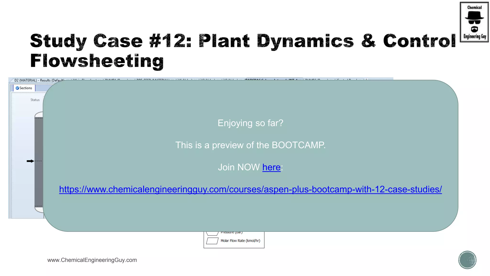 www.ChemicalEngineeringGuy.com
Enjoying so far?
This is a preview of the BOOTCAMP.
Join NOW here:
https://www.chemicalengineeringguy.com/courses/aspen-plus-bootcamp-with-12-case-studies/
 