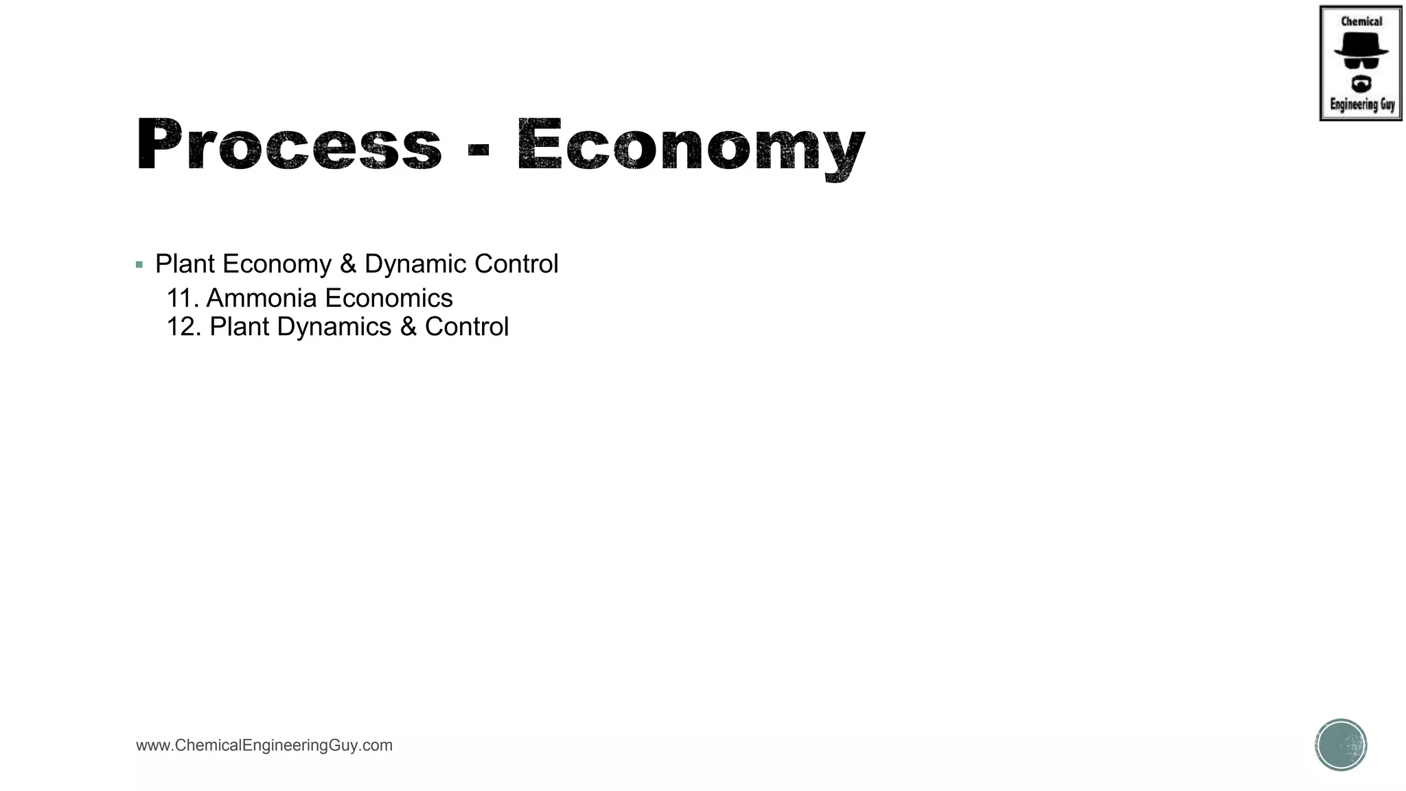  Plant Economy & Dynamic Control
11. Ammonia Economics
12. Plant Dynamics & Control
www.ChemicalEngineeringGuy.com
 