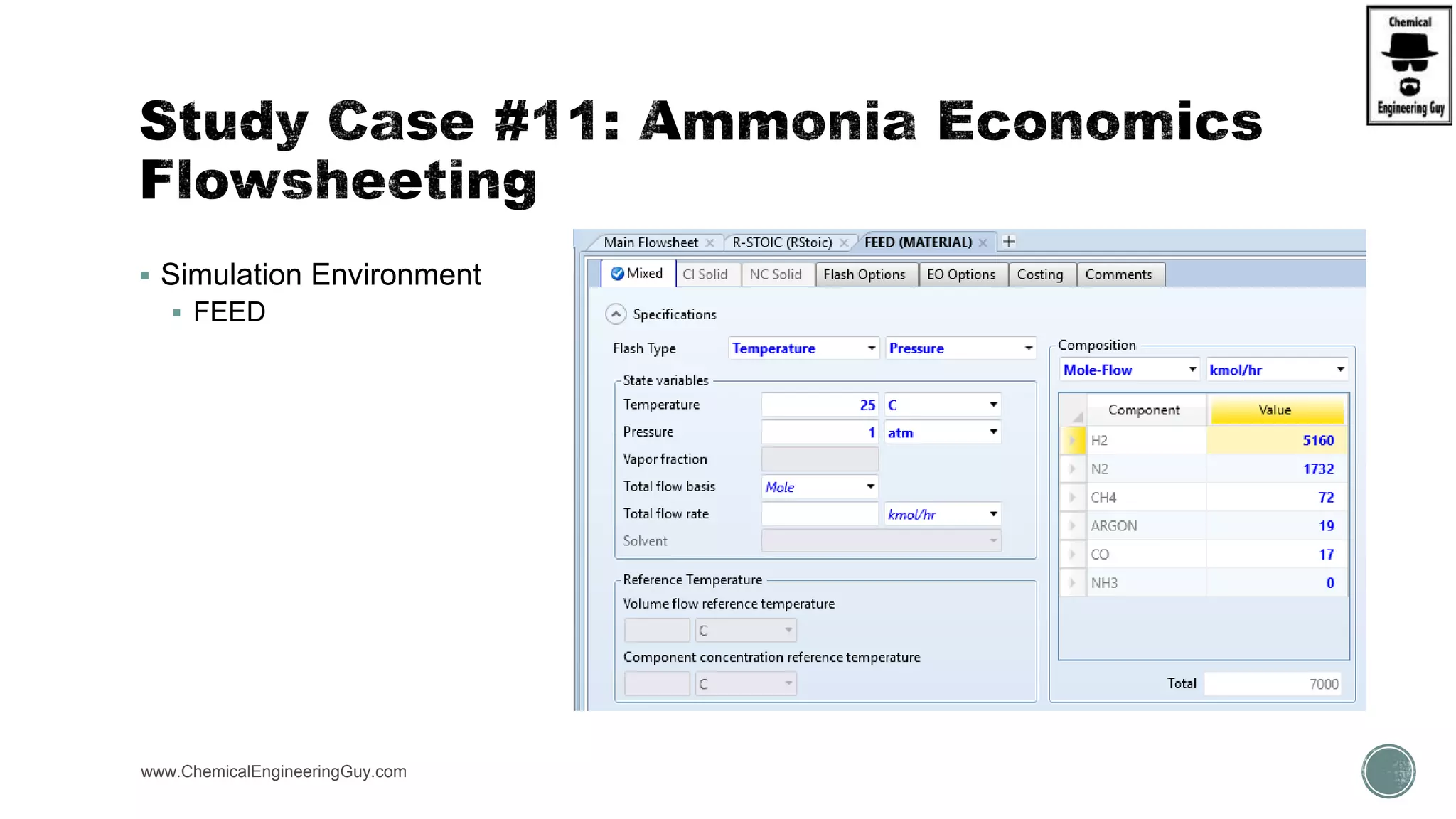  Simulation Environment
 FEED
www.ChemicalEngineeringGuy.com
 