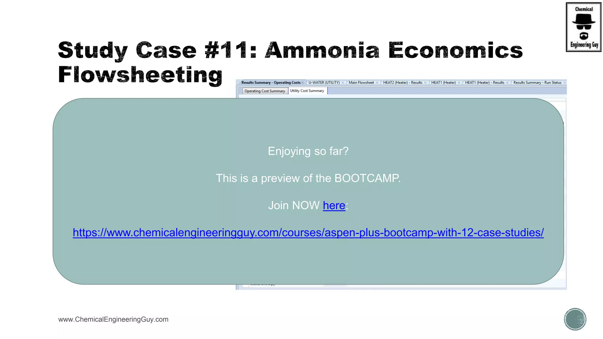  RESULTS
 $, k$, or MM (million $)
 S, h, Day, Year
www.ChemicalEngineeringGuy.com
Enjoying so far?
This is a preview of the BOOTCAMP.
Join NOW here:
https://www.chemicalengineeringguy.com/courses/aspen-plus-bootcamp-with-12-case-studies/
 