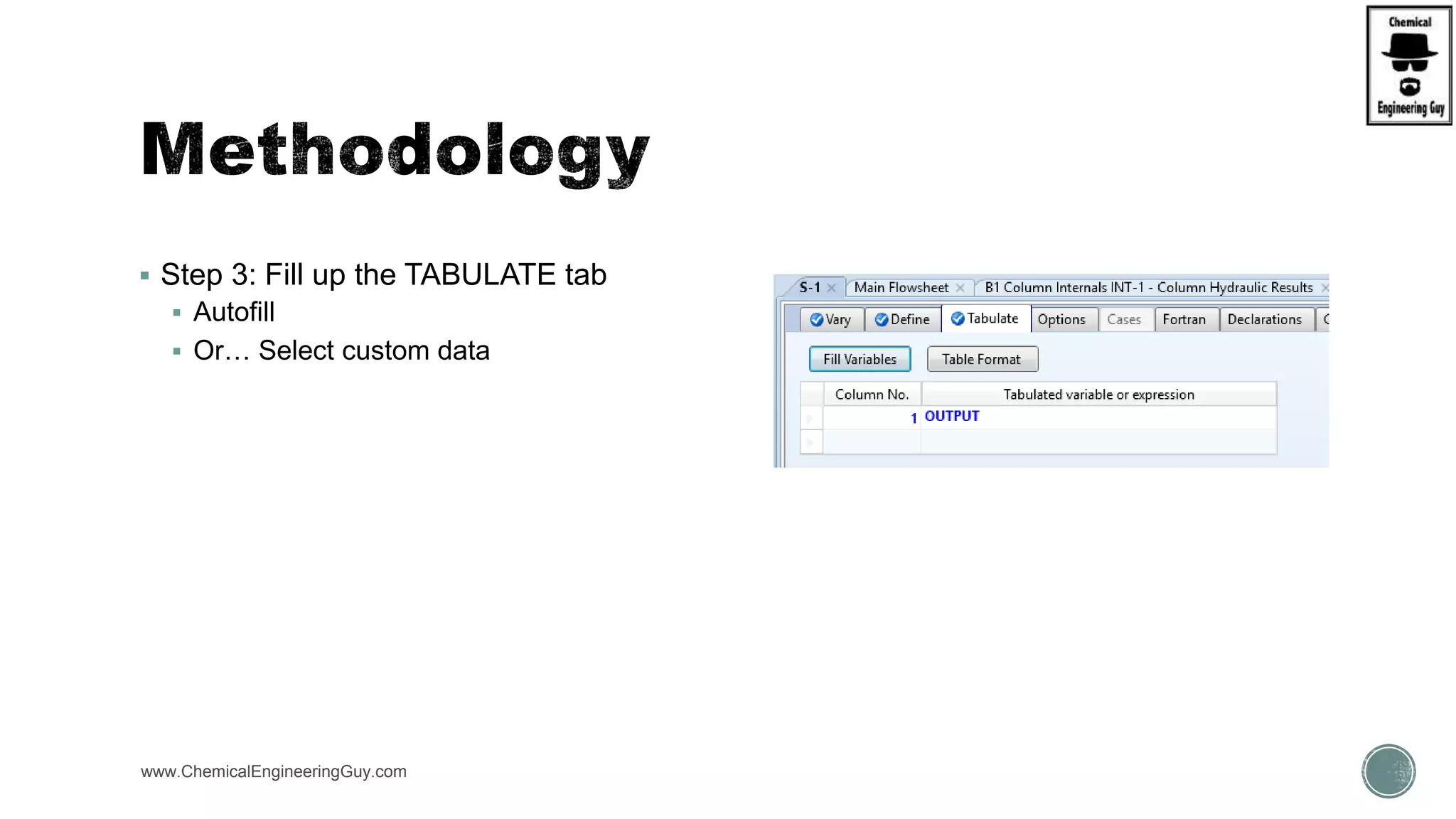  Step 3: Fill up the TABULATE tab
 Autofill
 Or… Select custom data
www.ChemicalEngineeringGuy.com
 