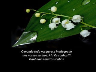 O mundo todo nos parece inadequado
aos nossos sonhos. Ah! Os sonhos!!!
Ganhamos muitos sonhos.
 
