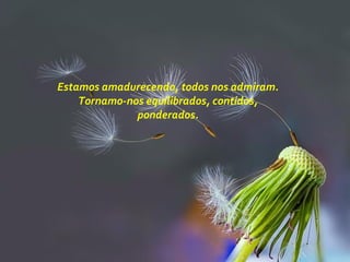 Estamos amadurecendo, todos nos admiram.
Tornamo-nos equilibrados, contidos,
ponderados.
 