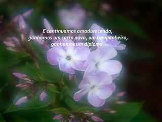 E continuamos amadurecendo,
ganhamos um carro novo, um companheiro,
ganhamos um diploma.
 