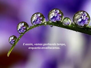 E assim, vamos ganhando tempo,
enquanto envelhecemos.
 