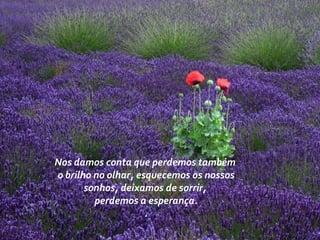 Nos damos conta que perdemos também
o brilho no olhar, esquecemos os nossos
sonhos, deixamos de sorrir,
perdemos a esperança.
.
 