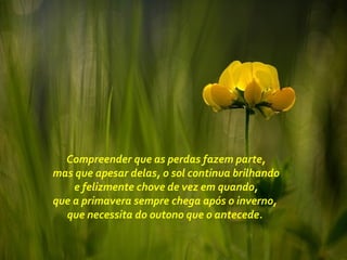 Compreender que as perdas fazem parte,
mas que apesar delas, o sol continua brilhando
e felizmente chove de vez em quando,
que a primavera sempre chega após o inverno,
que necessita do outono que o antecede.
 