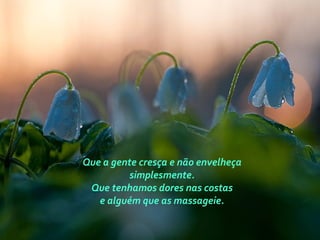 Que a gente cresça e não envelheça
simplesmente.
Que tenhamos dores nas costas
e alguém que as massageie.
 