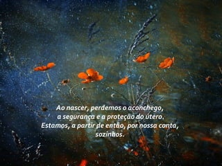 Ao nascer, perdemos o aconchego,
a segurança e a proteção do útero.
Estamos, a partir de então, por nossa conta,
sozinhos.
 