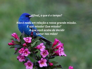 Afinal, o que é o tempo?
Não é nada em relação a nossa grande missão.
E que missão! Que missão?
A que você acaba de decidir
tomar nas mãos!
 