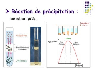  Réaction de précipitation :
 sur milieu liquide :
 