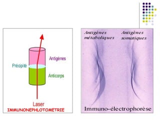 IMMUNONEPHLOTOMETRIE
 