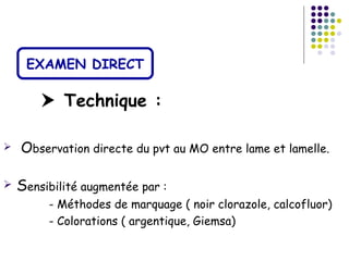 EXAMEN DIRECT

         Technique :

   Observation directe du pvt au MO entre lame et lamelle.

   Sensibilité augmentée par :
         - Méthodes de marquage ( noir clorazole, calcofluor)
         - Colorations ( argentique, Giemsa)
 