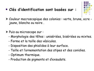    Clés d’identification sont basées sur :

 Couleur macroscopique des colonies : verte, brune, ocre -
  jaune, blanche ou noire .

 Puis au microscope sur :
 - Morphologie des têtes : unisériées, bisériées ou mixtes.
 - Forme et la taille des vésicules.
 - Disposition des phialides à leur surface.
 - Taille et l’ornementation des stipes et des conidies.
 - Optimum thermique.
 - Production de pigments et d’exsudats.
 