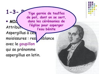 1-3- Rappel historique :
       Tige garnie de touffes
           de poil, dont on se sert,
 MICHELLI (1729) :
            dans les cérémonies de
             l’église pour asperger
Attribution du nom bénite
                   l’eau
Aspergillus à ces
moisissures : ressemblance
avec le goupillon
qui se prénomme
aspergillus en latin.
 