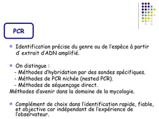 PCR

  Identification précise du genre ou de l’espèce à partir
  d’ extrait d’ADN amplifié.

  On distingue :
 - Méthodes d’hybridation par des sondes spécifiques.
 - Méthodes de PCR nichée (nested PCR).
 - Méthodes de séquençage direct.
Méthodes d’avenir dans la domaine de la mycologie.

  Complément de choix dans l’identification rapide, fiable,
  et objective car indépendant de l’expérience de
  l’observateur.
 