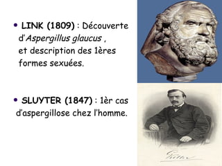     LINK (1809) : Découverte
    d’Aspergillus glaucus ,
    et description des 1ères
    formes sexuées.



SLUYTER (1847) : 1èr cas
d’aspergillose chez l’homme.
 