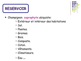 RESERVOIR

   Champignon saprophyte ubiquiste:
         ○ Extérieur et intérieur des habitations
         ○ Sol.
         ○ Plantes.
         ○ Graines.
         ○ Bois.
         ○ Composte.
         ○ Coton.
         ○ Vêtements.
         ○ Climatiseurs.
         ○ Eau   …
 