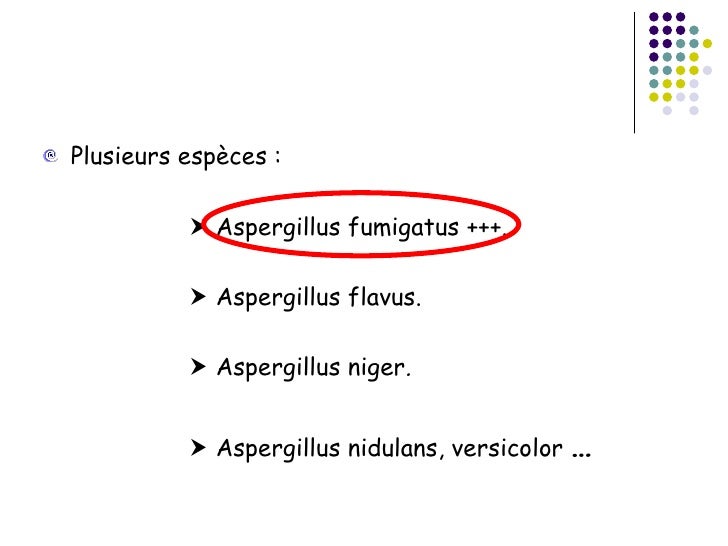 Aspergillose bronchopulmonaire allergique