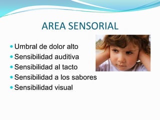 AREA SENSORIAL
 Umbral de dolor alto
 Sensibilidad auditiva
 Sensibilidad al tacto
 Sensibilidad a los sabores
 Sensibilidad visual
 