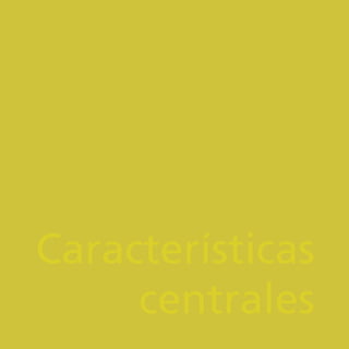 Características
centrales
 