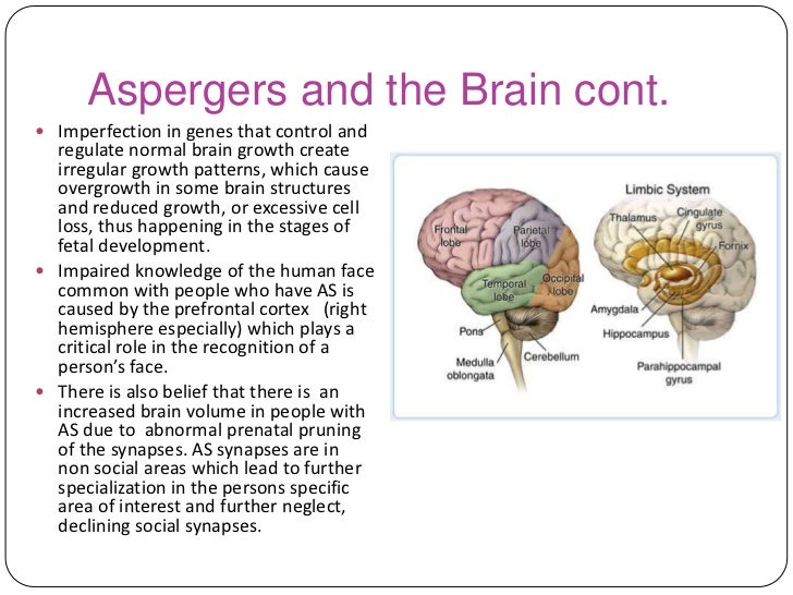 Aspergers Brain - Autism's Edges: Scanned, or Scammed? - Asperger