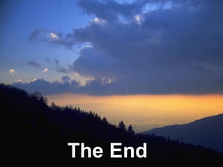 The End 